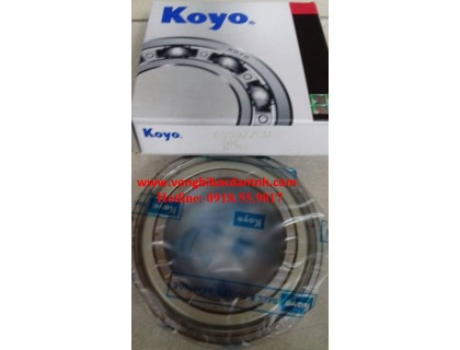 VÒNG BI-BẠC ĐẠN-Ổ BI 6009ZZ-6009Z-6009.2ZR-6009 Z-6009 ZZ-6009 2Z-6009 ZR-KOYO-NSK-NTN-FAG-NACHI-NHẬT-GIÁ RẺ